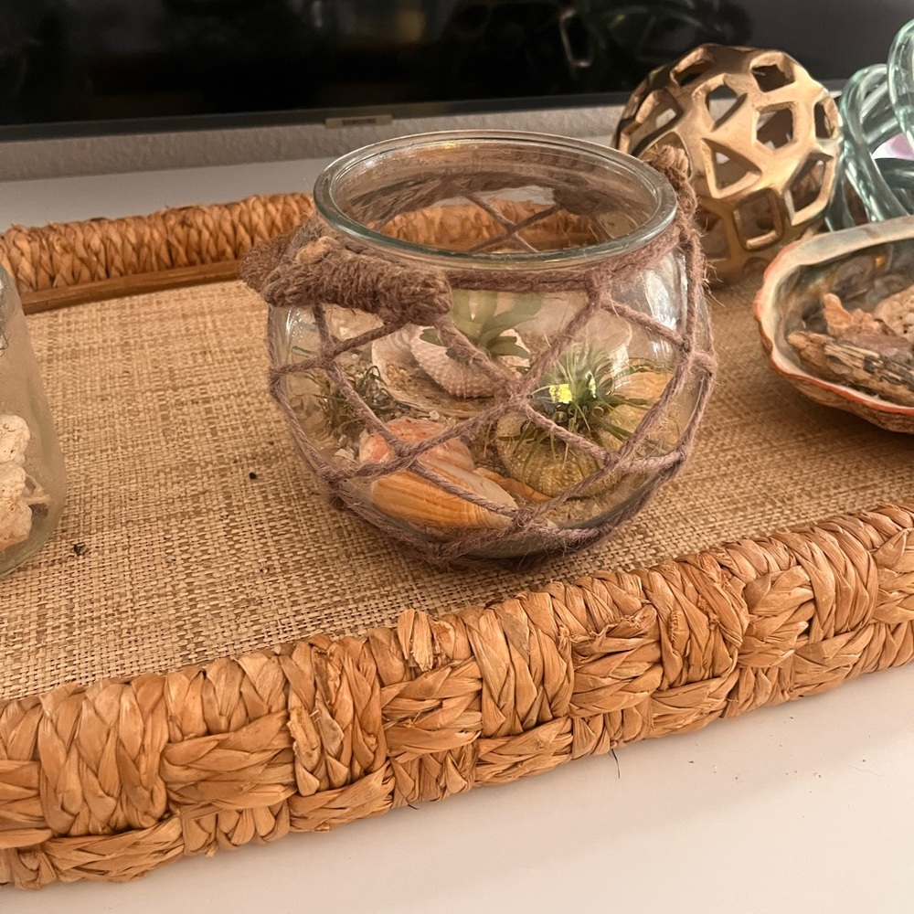 Terrarium - Picture 2 of 3